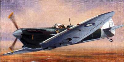 SPITFIRE MK V C