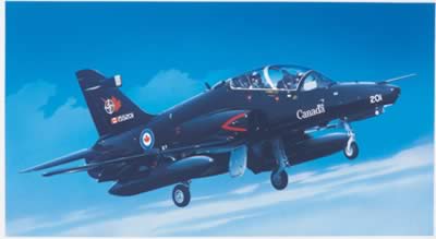 BAe HAWK 100