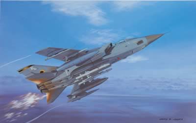 Airfix 09175 PANAVIA TORNADO ADV F3 Maquettes 