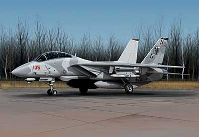 Armour B11B239 F 14 TOMCAT BEDEVIL 98077 Miniatures 1:48 Armour B11B239 F 14 TOMCAT BEDEVIL 98077 Miniatures 1:48