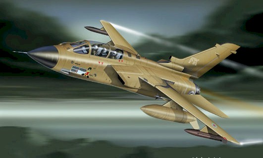 Armour B11B272 TORNADO DESERT STORM 98066 Miniatures 1:48 Armour B11B272 TORNADO DESERT STORM 98066 Miniatures 1:48