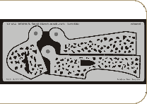 Eduard XF565 Bf 109F/G Small Blotch mask-etch Maquettes 1:48 Eduard XF565 Bf 109F/G Small Blotch mask-etch Maquettes 1:48
