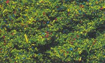 Faller 170710 FLOCAGE PRAIRIE FLEUR 0710 HO/N/Z Plastic models Faller 170710 FLOCAGE PRAIRIE FLEUR 0710 HO/N/Z Plastic models