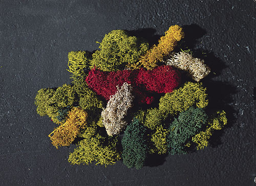 Faller 170730 LICHEN 5 COLORIS 0730 HO/N/Z Plastic models 
