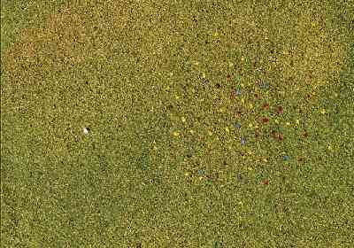 FLOCAGE PRAIRIE FLEUR 0754 HO/N
