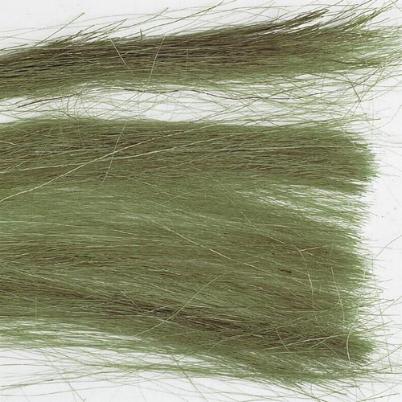 HERBE HAUTE