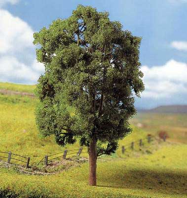 FRENE ENV.20 CM