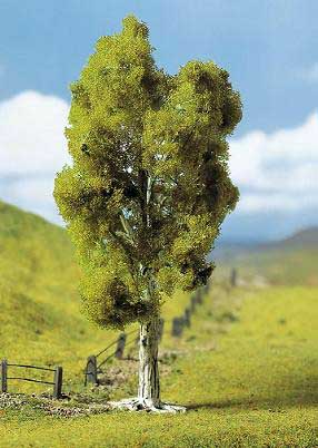 BOULEAU DES SABLES 14cm