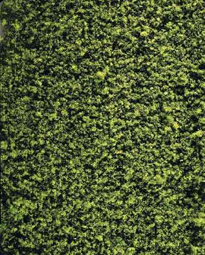 Faller 181392 NAPPE FIB FEUIL.VERT MOYEN Plastic models 