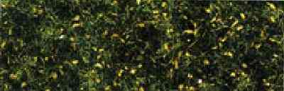 Faller 181393 NAPPE FIBRES HERBES PRAIRIE Plastic models Faller 181393 NAPPE FIBRES HERBES PRAIRIE Plastic models