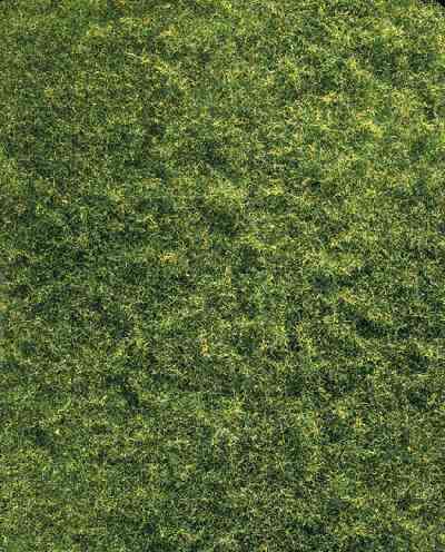 Faller 181394 NAPPE FIBRES HERBE PRAIRIE MELE Plastic models Faller 181394 NAPPE FIBRES HERBE PRAIRIE MELE Plastic models