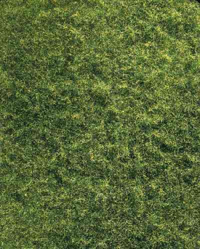 NAPPE FIBRES HERBE PRAIRIE MELE