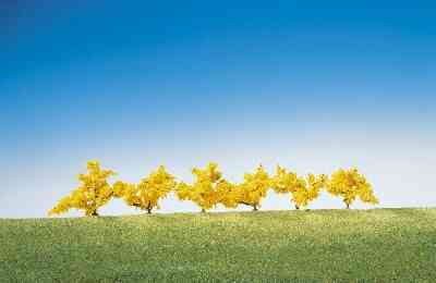 FORSYTHIAS x6 1475 HO/N