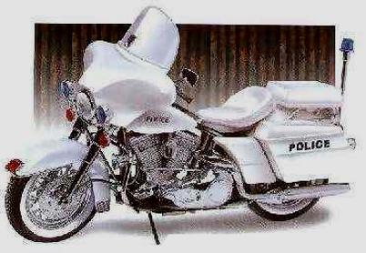 CUSTOM Police