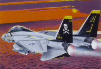 TOMCAT F-14 A