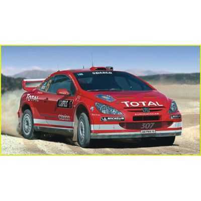 PEUGEOT 307 WRC 2004