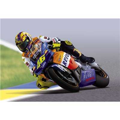 HONDA RC 211 V