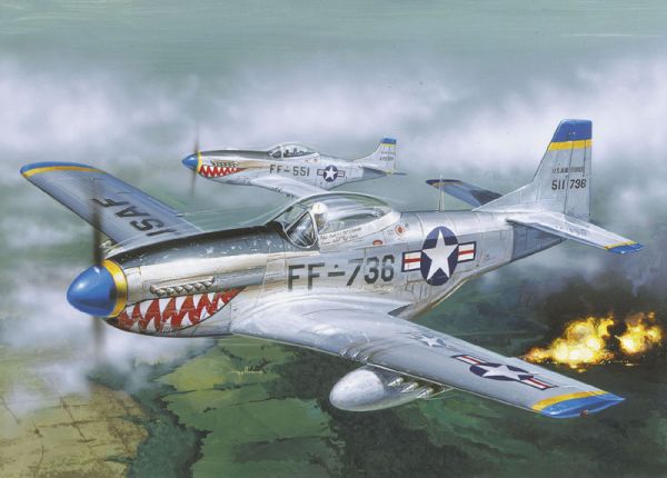 P 51D MUSTANG