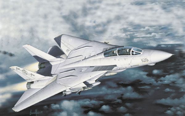 F 14 A TOMCAT PLUS