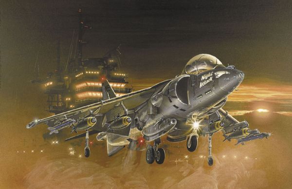 NIGHT HARRIER