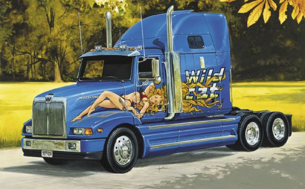 WESTERN STAR CONSTELLAT.