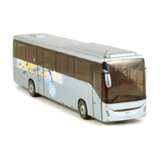 IRISBUS EVADYS