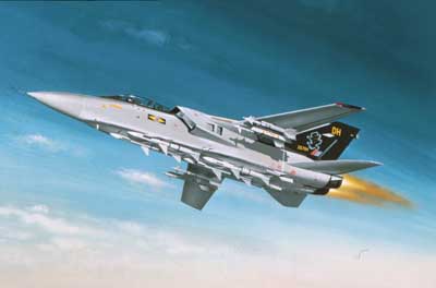 Revell 04375 TORNADO F3 Maquettes 1:72