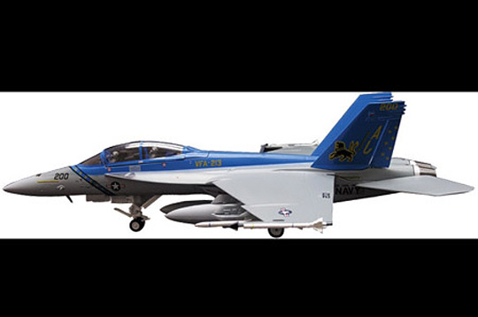 F18 VF213 BLACK LIONS(SKY GUARDIANS)