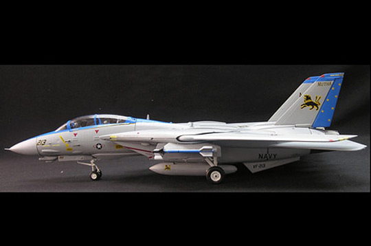 F-14 VF 213 BLACK LIONS (SKY GUARDIANS)