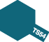 TS-54 BLEU CLAIR METALLISE