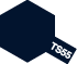 Bombe TS-55
