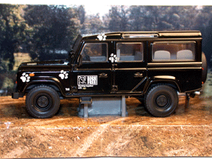 LAND ROVER DEFENDER 110 BORN FREE